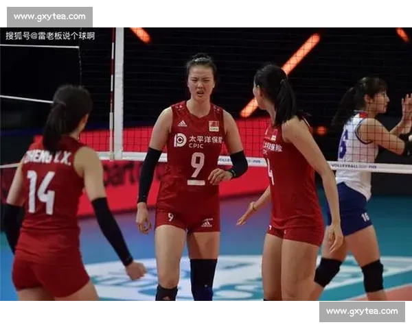 中韩排球强强对话中国女排迎战韩国队焦点之战解析赛场看点全解读